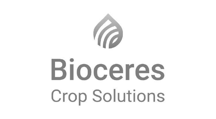 Bioceres Crop Solutions